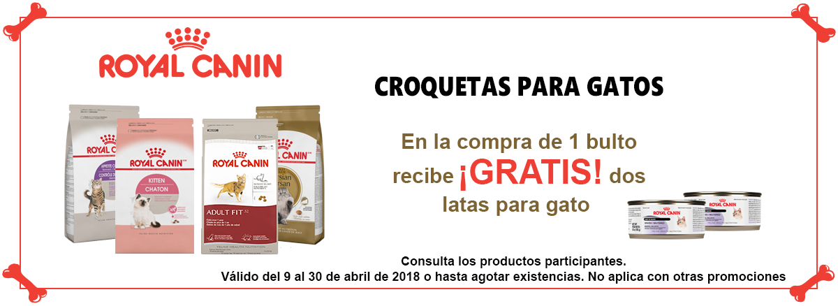 Promoción Royal Canin para Gatos