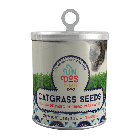 Catgrass Seeds Semillas de Pasto de Trigo para Gatos