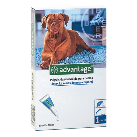 Advantage Pipeta Antipulgas para Perros