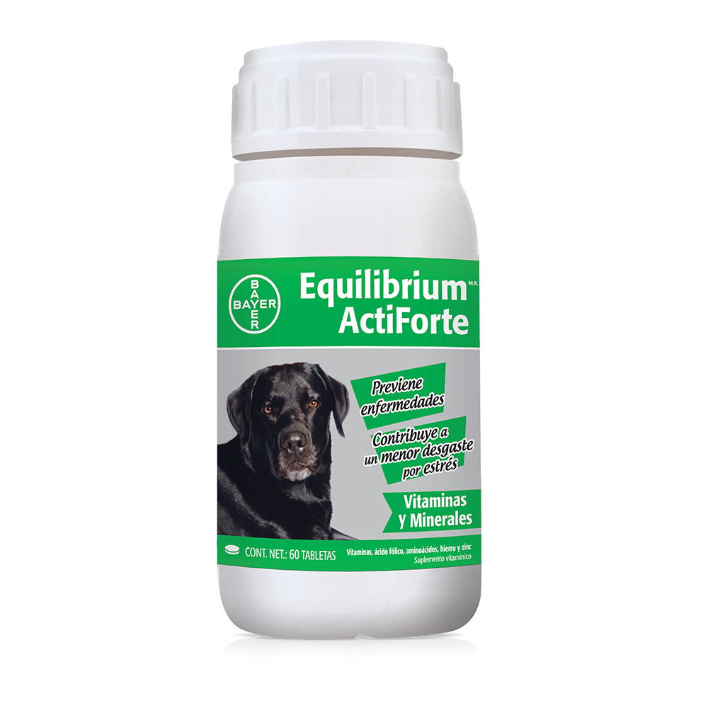 Bayer Equilibrium Actiforte Vitaminas