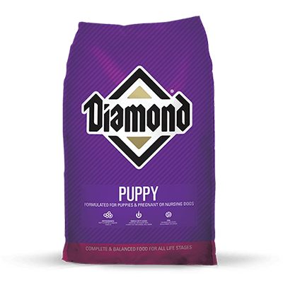 Diamond Puppy