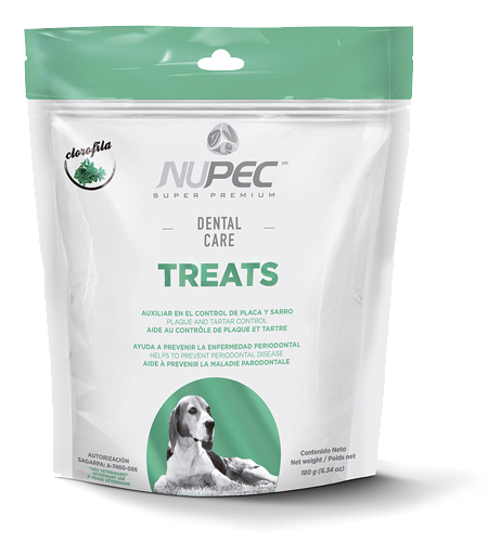 Nupec Nupec Dental Care