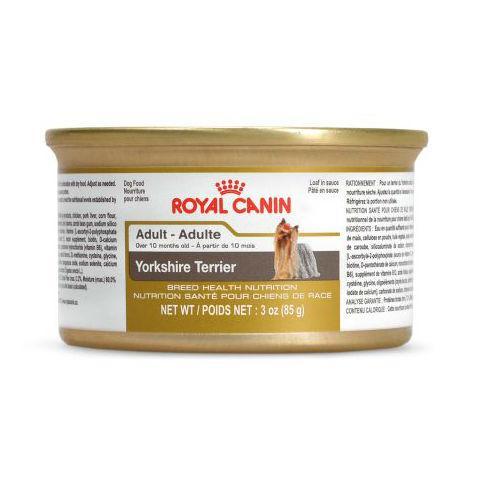 Royal Canin Yorkshire Adult Wet Loaf Lata